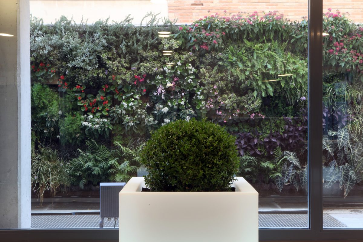 arquitectura-sanitaria-ampliacion