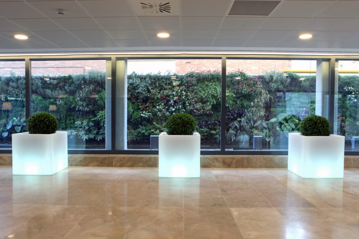 arquitectura-sanitaria-ampliacion