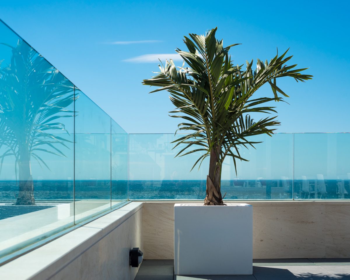 arquitectura-cafeteria